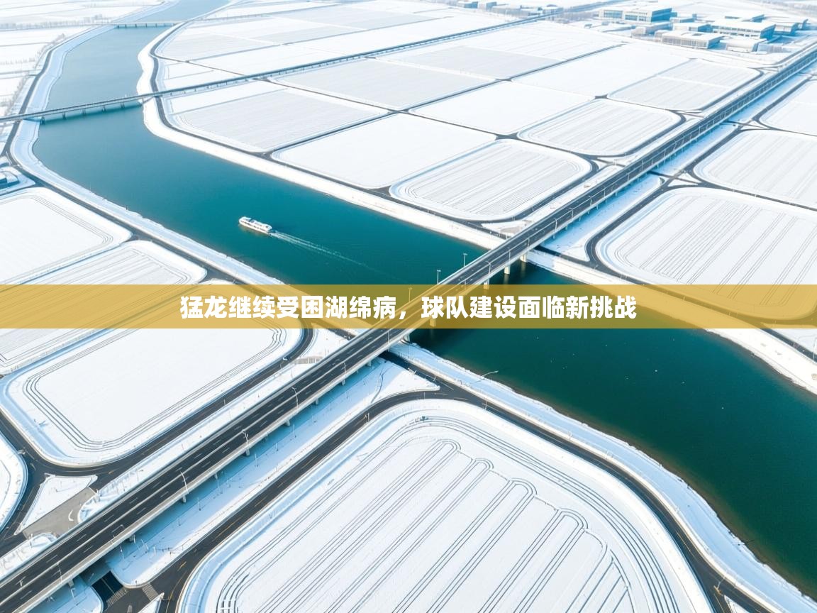 猛龙继续受困湖绵病，球队建设面临新挑战  第2张