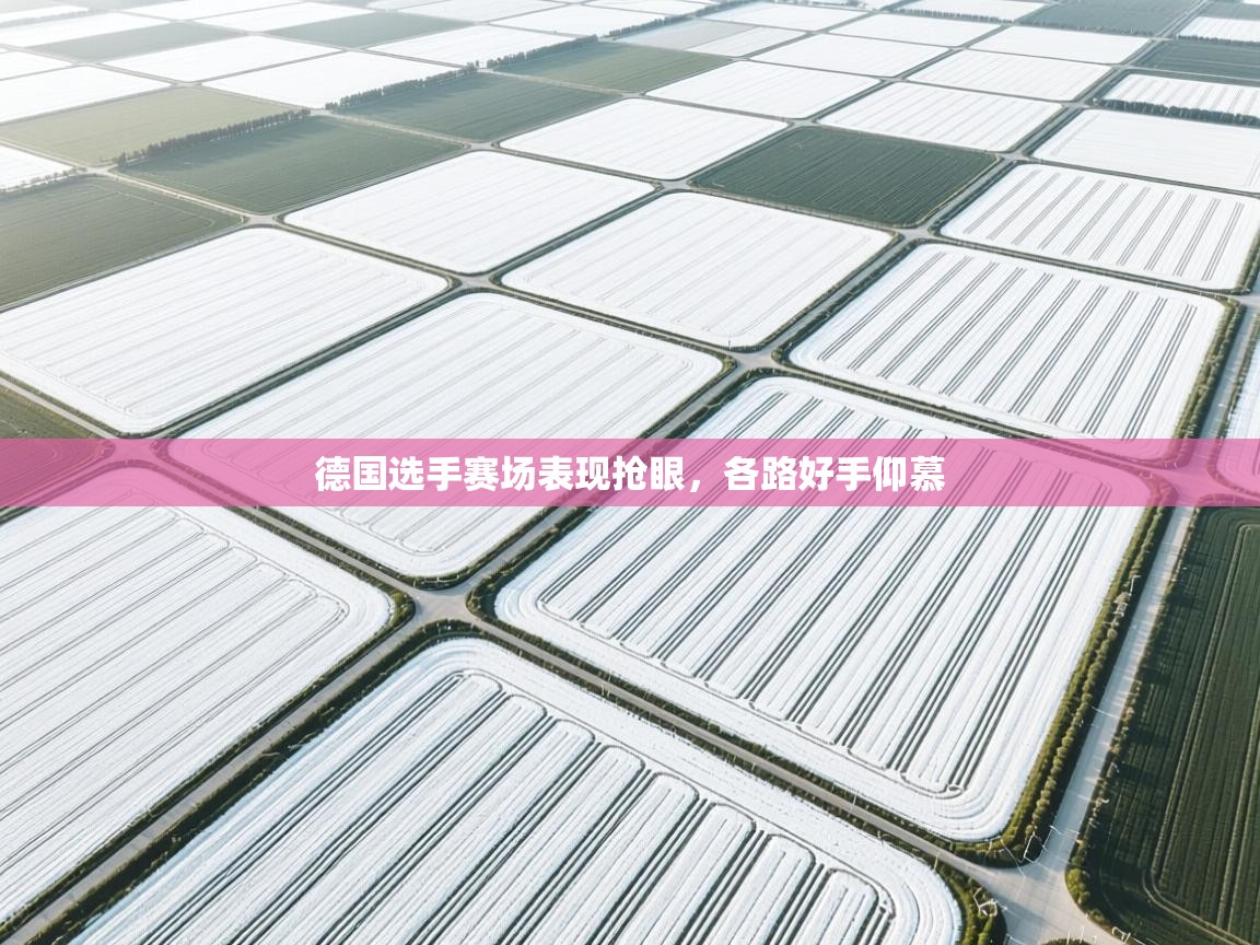 德国选手赛场表现抢眼，各路好手仰慕  第2张