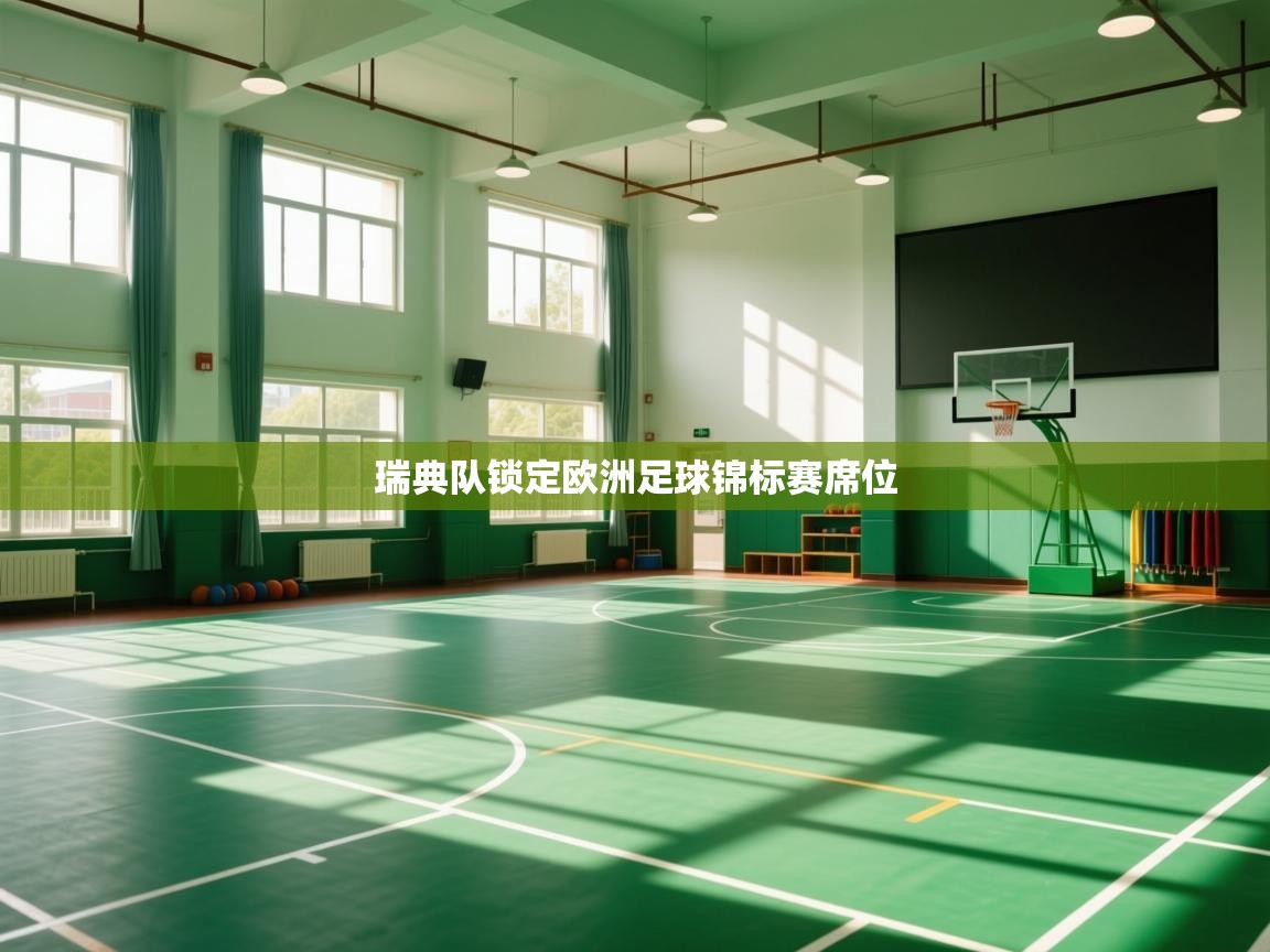 瑞典队锁定欧洲足球锦标赛席位  第1张