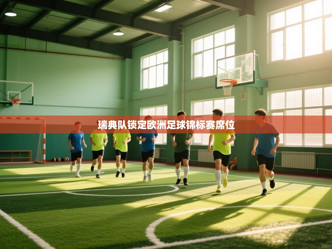 瑞典队锁定欧洲足球锦标赛席位  第2张