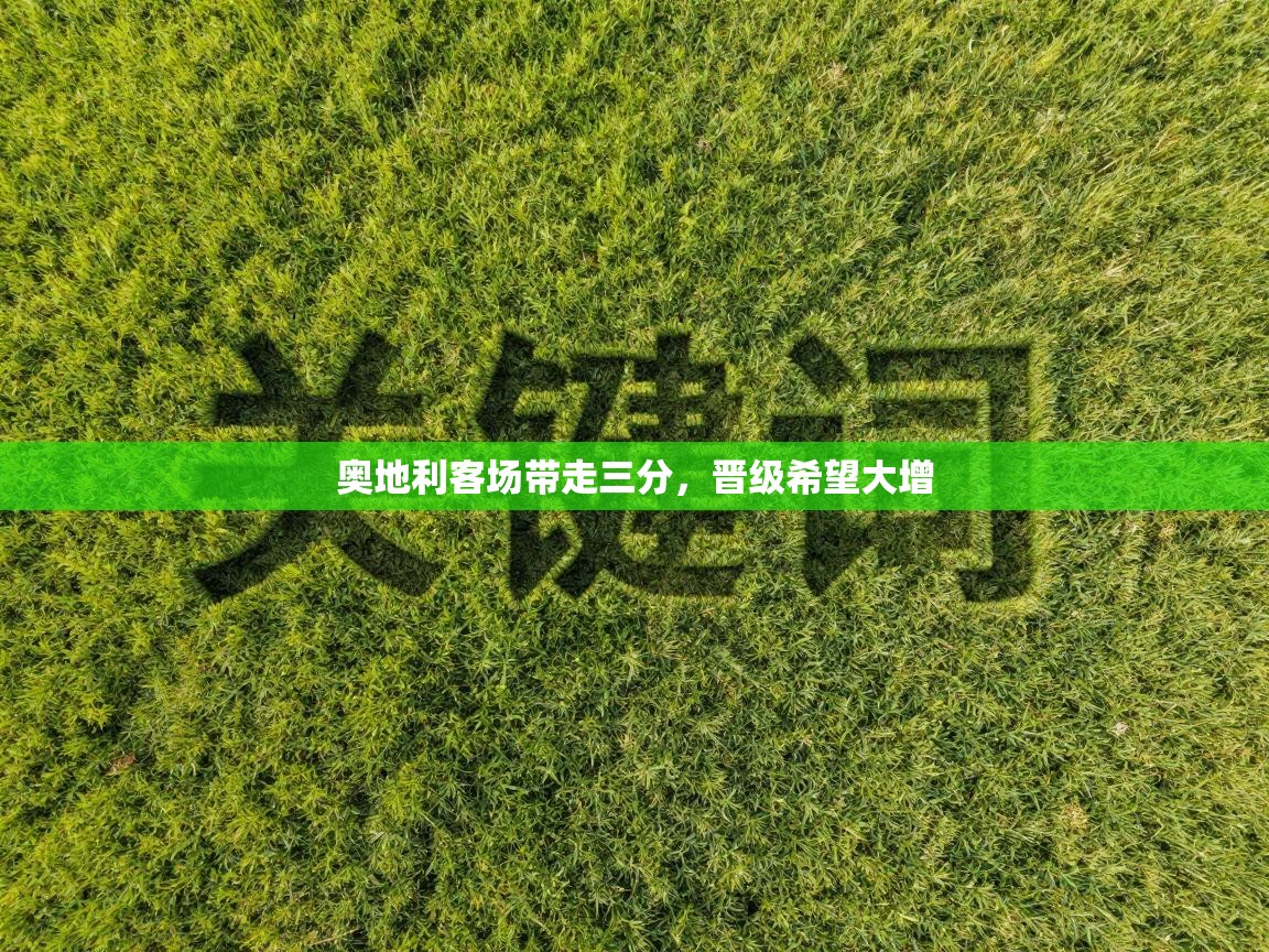 奥地利客场带走三分，晋级希望大增  第2张