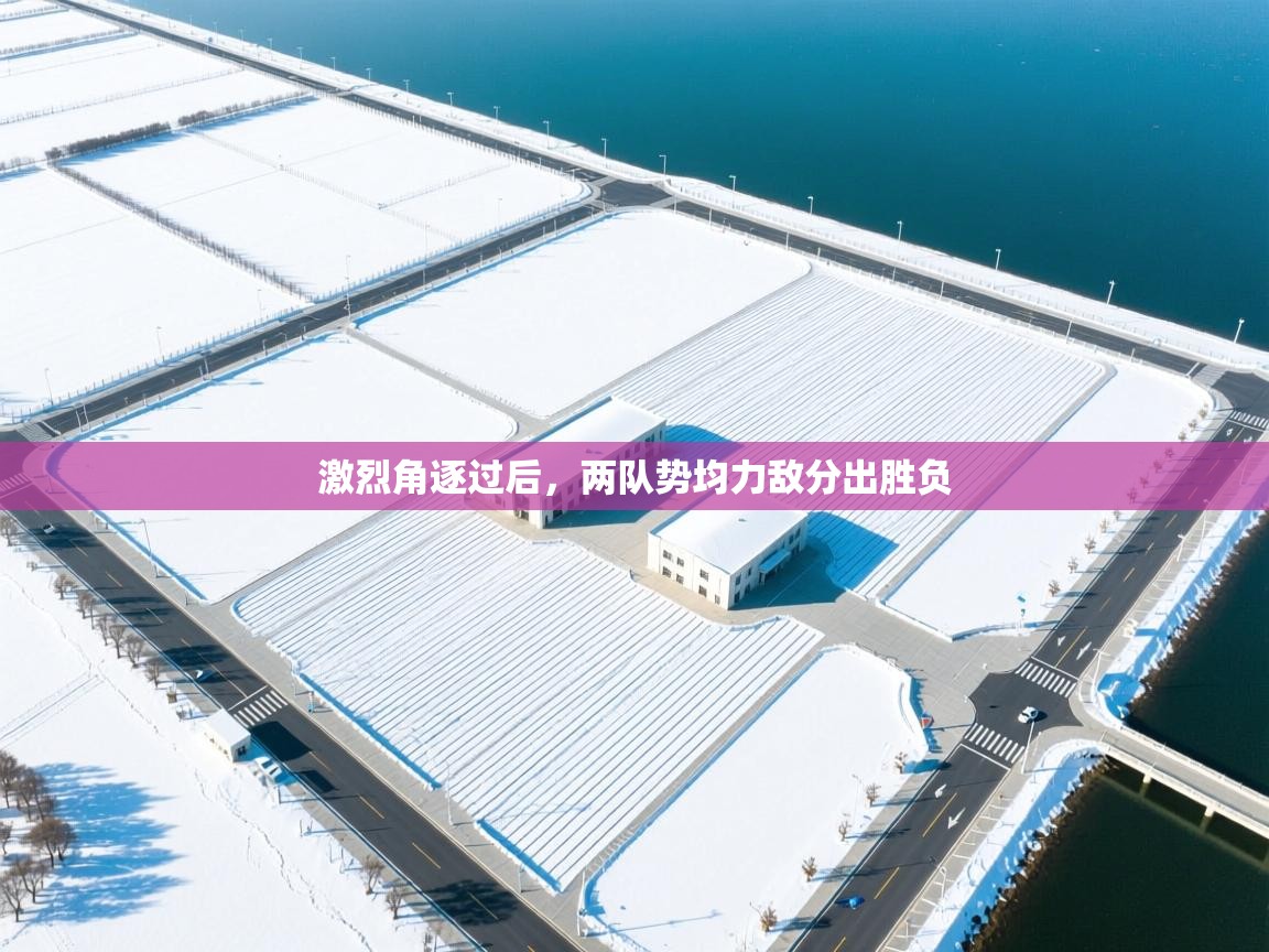 激烈角逐过后，两队势均力敌分出胜负  第2张