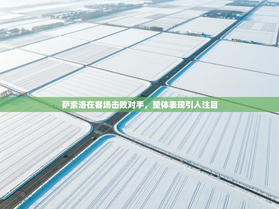 萨索洛在客场击败对手，整体表现引人注目  第2张