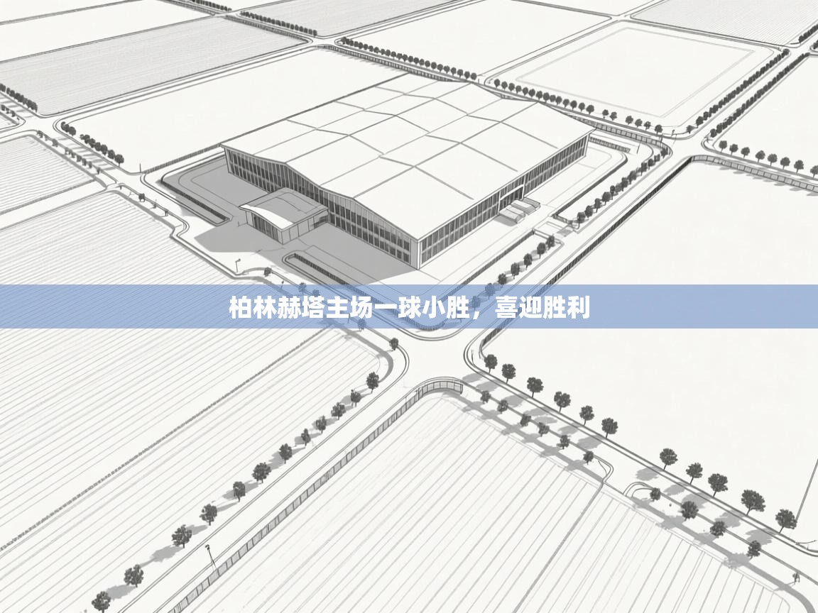 柏林赫塔主场一球小胜，喜迎胜利  第1张