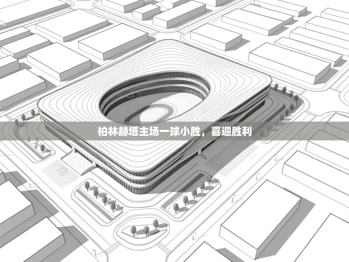 柏林赫塔主场一球小胜，喜迎胜利  第2张